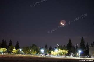 Crescent over Night Street – Thin crescent moon above a tree line and street lights.