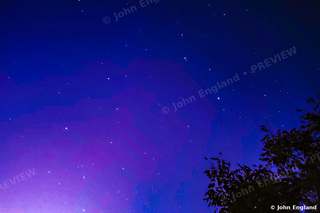 Violet Star Field – Violet night sky with stars over trees, Northern California, Nov 3, 2019.