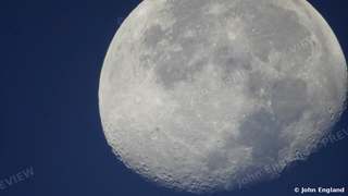 Gibbous Moon at Dawn – Gibbous moon against dawn-blue sky, Butte County, CA.