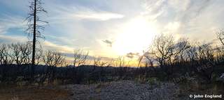 Fire-Recovery Sunrise – Sunrise over fire-recovery scrub along Rock Creek Road, Keswick, CA, Jun 26, 2020.