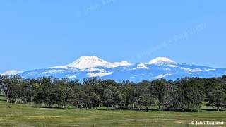 Lassen Peak over Oak Woodland – Snowcapped Lassen Peak over spring oak woodland, Jellys Ferry Road, Tehama County, CA, Apr 1, 2024.