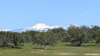 Lassen Peak over a Spring Pasture – Snowcapped Lassen Peak over a spring oak pasture, Jellys Ferry Road, Tehama County, CA, Apr 1, 2024.