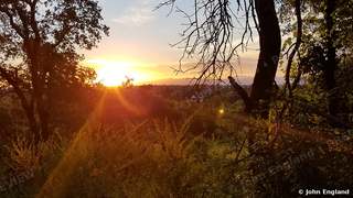 Oak Woodland Sunrise – Sunrise through oaks, Northern California, Jun 12, 2019.