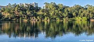 River Reflections – Trees reflected on the Sacramento River, Redding, CA, May 21, 2020.