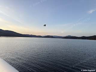 Shasta Lake at Dusk – Shasta Lake at dusk from the Shasta Dam overlook, Shasta County, CA.