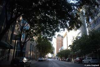 Shaded Downtown Street – Tree-shaded downtown street, Sacramento.