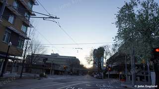Sunrise Down a Sacramento Street – Sunrise down a tree-lined downtown Sacramento street with light-rail wires, CA. Feb 2021. John England.