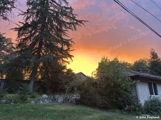 Pink Sunset Over the Pines, Redding – Pink sunset over the pines, north Redding, CA. Jul 24, 2025. John England.