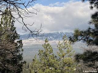 Valley View Through the Pines, Weed – Valley view through the pines near Weed, CA. Mar 2, 2026. John England.
